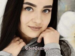 ChatSauvage Vidéos Fellations