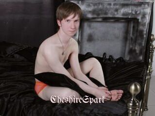 CheshireSpark