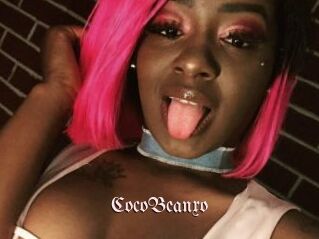 CocoBeanxo