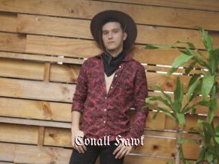Conall_Hawk
