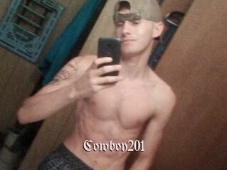 Cowboy201