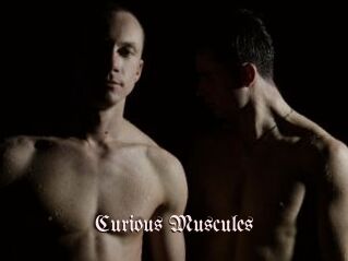 Curious_Muscules