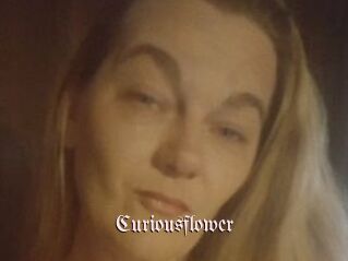 Curiousflower
