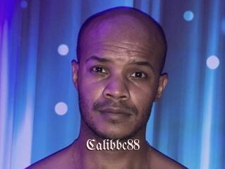 Calibbc88