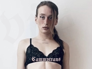 Cammytrans