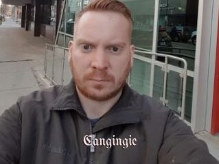 Cangingie