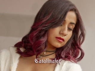 Catalinafox