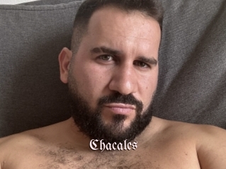 Chacales