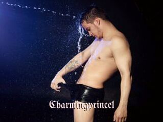 Charmingprince1