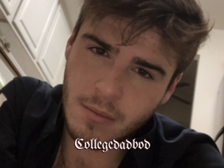 Collegedadbod