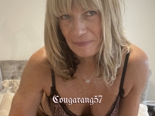 cougarang57 Vidéos Fellations