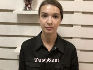 DaisyCani