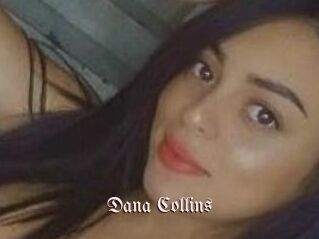 Dana_Collins