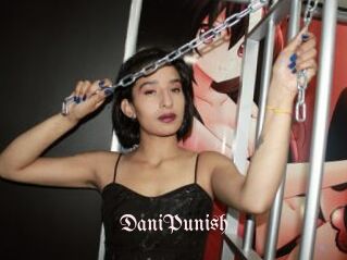 DaniPunish