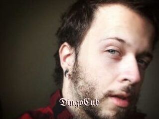 DingoCub