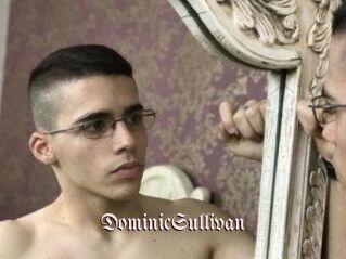 DominicSullivan