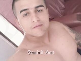 Dominik_Hott