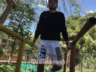 Damiaansmith