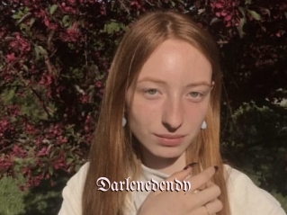 Darlenedendy