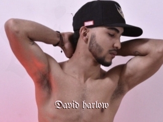 david_harlow Vidéos Fellations