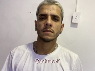 Daviidwolf
