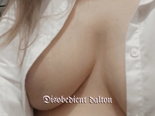 Disobedient_dalton