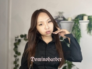 Dominoharber