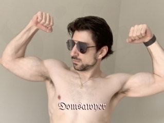 Domsawyer
