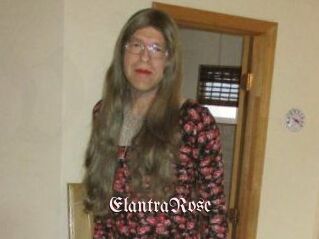 Elantra_Rose