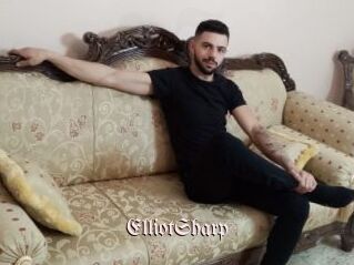 ElliotSharp