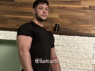 eliascarter Vidéos Fellations