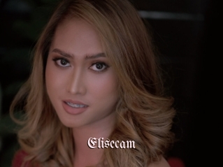 Elisecam