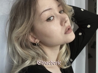 Elvacherie