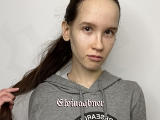 Elvinaabner