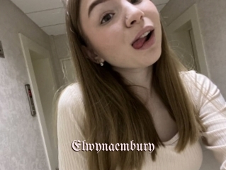 Elwynaembury