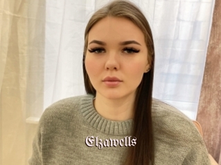 Elzawells