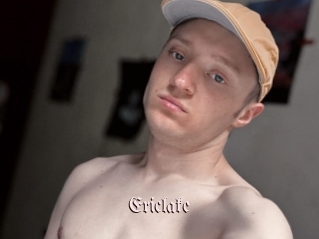 ericlake Vidéos Fellations