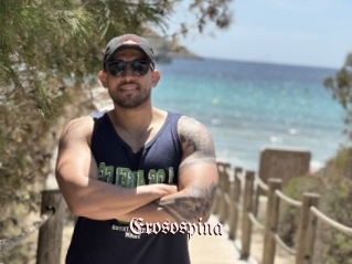 Erosospina