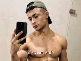 Esteban_stud