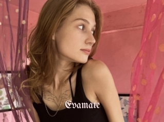 Evamate