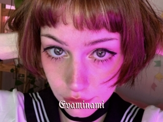 Evaminami