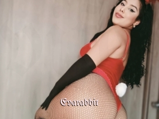 Evarabbit