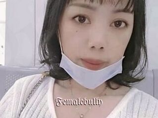 Femalebully