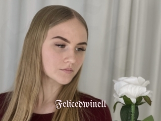 Felicedwinell