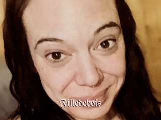 Filledebois