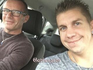 Gayfunguys