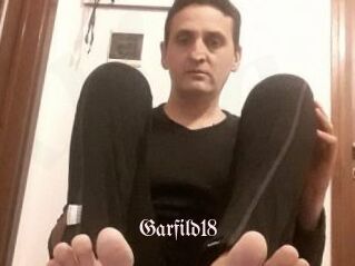 Garfild18