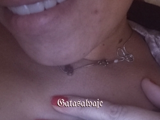 Gatasalvaje