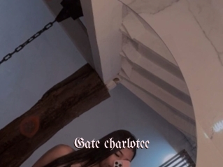 Gate_charlotee