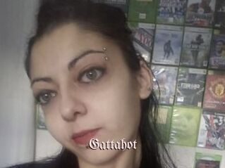 Gattahot